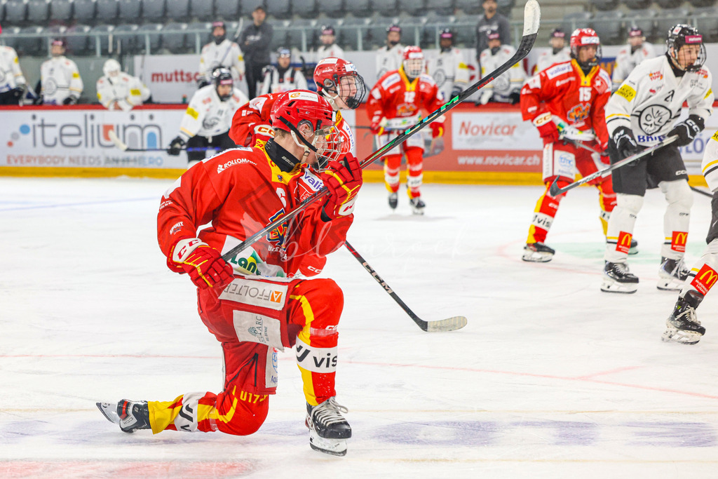 701A3214 | Sportbilder, Sportfotograf, Hochzeits- und Eventfotografin, Flugshows, Portraits und Tiershooting, Aviation, Downhill, Nationalleague, Swissleague, International