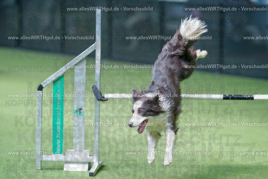 @allesWIRTHgut_Tierfotografie - www.allesWIRTHgut.de - 2604251353-7R504253 | Professionelle Tierfotografie in Mönchengladbach von Daniel Wirth (allesWIRTHgut). Liebevolle & natürliche Bilder von Hunden & Katzen für unvergessliche Erinnerungen.