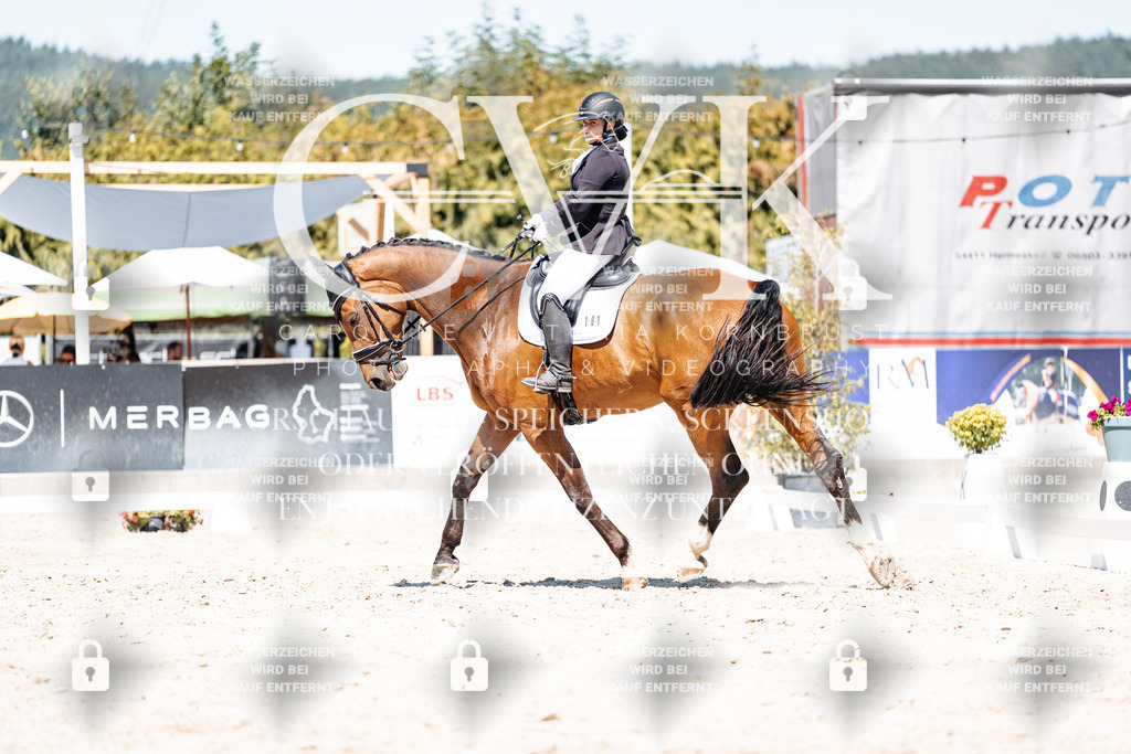 CK900088 | Turnierfotografie Pferdefotografie Trier Rheinland-Pfalz Pferdesport Reitsport Tierfotografie Sportfotografie Pferdevideo Pferdevideografie Equestrianvideography equestrianphotography  - Realisiert mit Pictrs.com