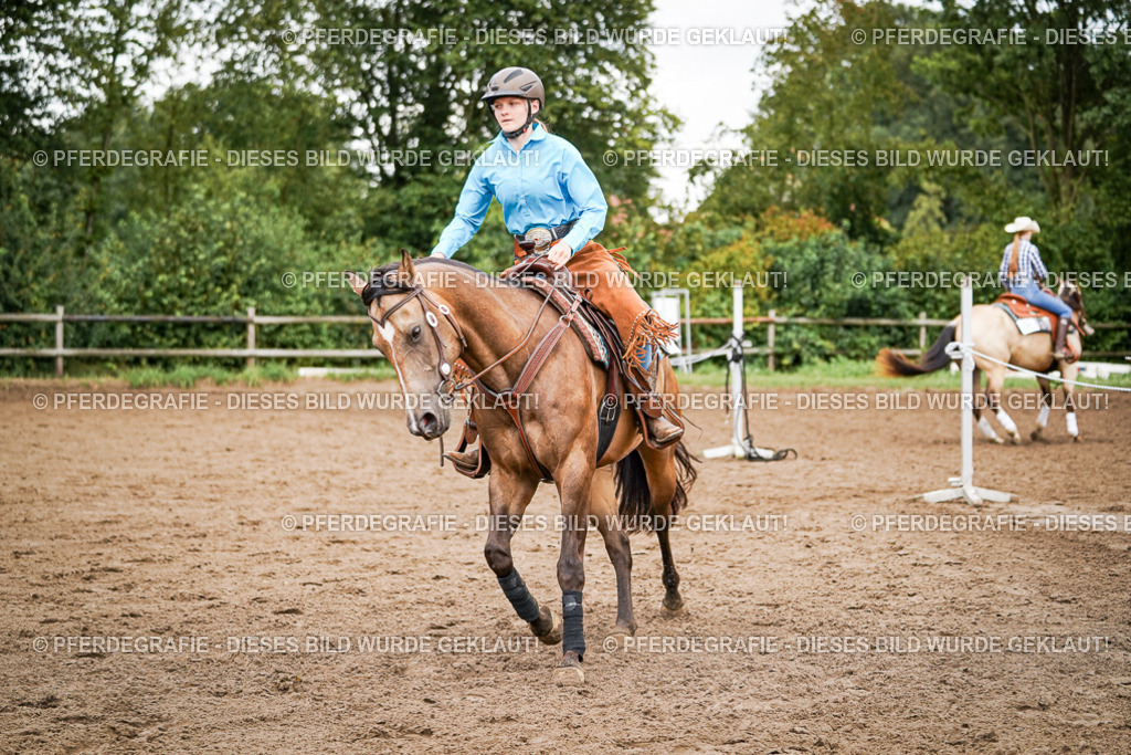 DSC08129 | Pferdegrafie