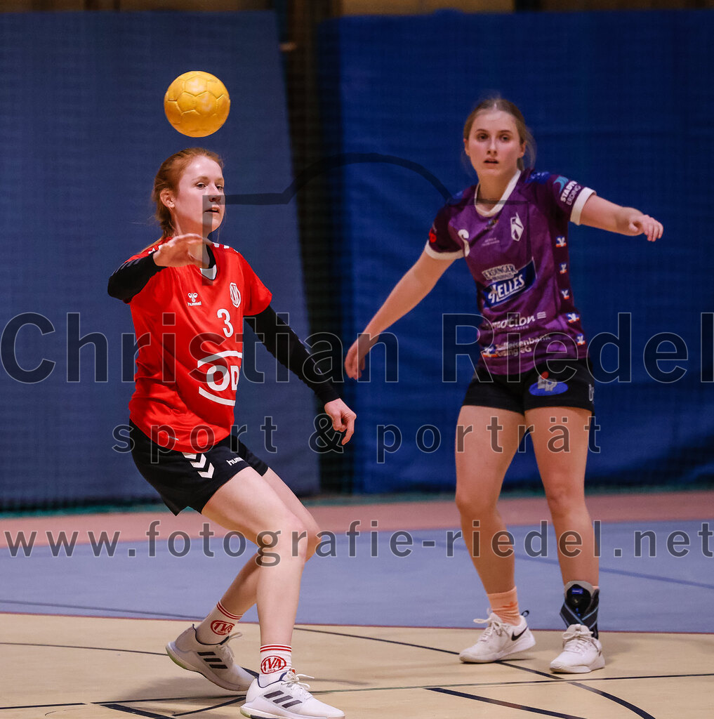 2025-01-18_074_SpVgg_Altenerding_gegen_TV_Altoetting | Erding, Deutschland, 18.01.2025:Handball, Bezirksoberliga Frauen Altbayern 2024 / 2024, 11. Spieltag, SpVgg Altenerding gegen TV Altötting, Endergebnis: 19:24Anna-Maria Niedermaier (TV Altötting, #3), Marlene Mittermeier (SpVgg Altenerding, #6)Foto: Christian Riedel / fotografie-riedel.net