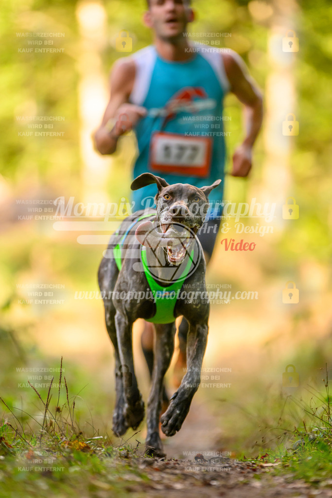 MompixPhotography_Yens2025_B3-212 | PayLife