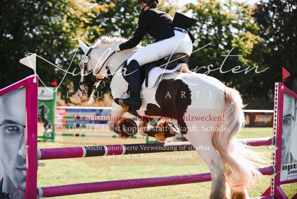 DSC_2587 | Pferde- und Turnierfotografie in Westsachsen. Pferdeportraits, Auftragszeichnungen und intuitive Kunst.