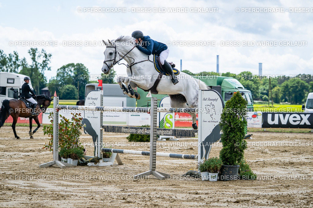 DSC05493 | Pferdegrafie