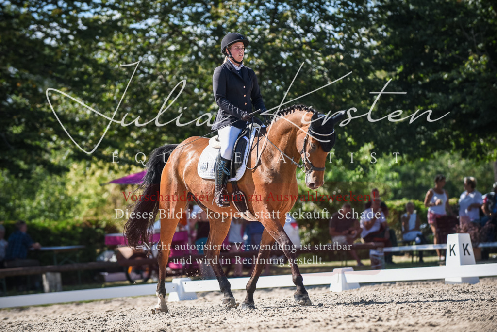DSC_9688 | Pferde- und Turnierfotografie in Westsachsen. Pferdeportraits, Auftragszeichnungen und intuitive Kunst.