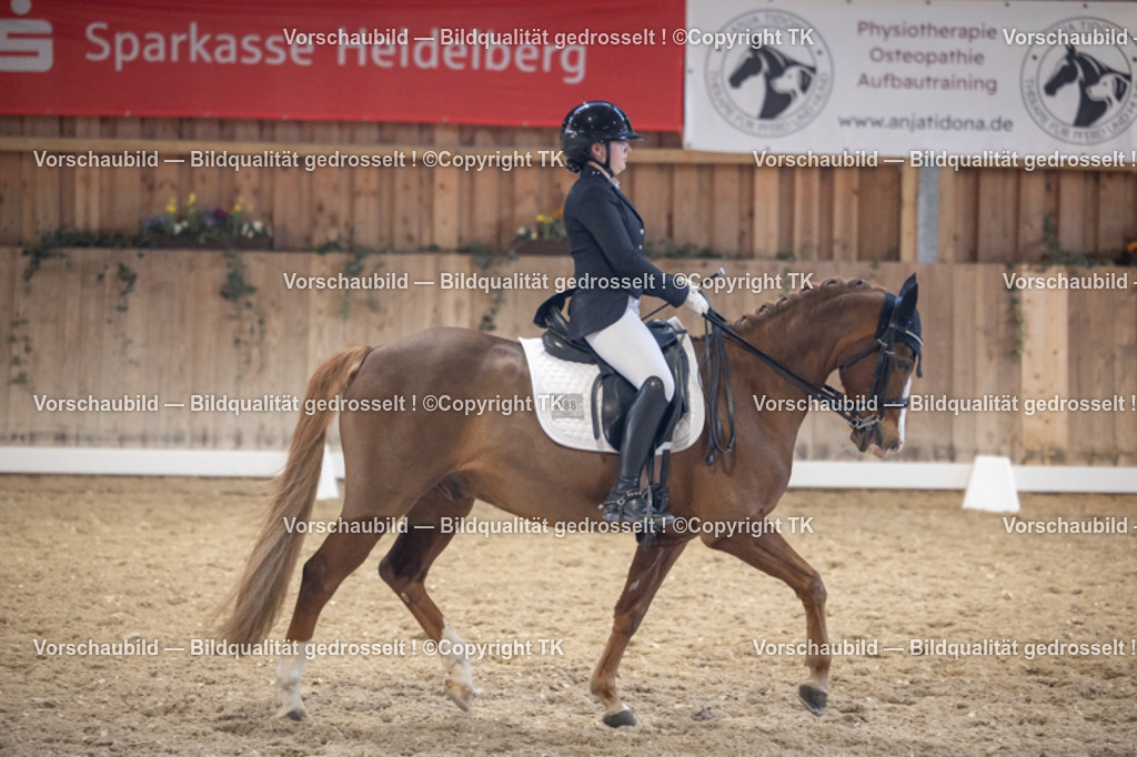 _D5A1981 | Emotionale Pferde- & People-Fotografie rund um Heidelberg, Leimen & Umgebung. Natürliche Fotos von Pferd, Mensch & Familie. Jetzt Termin sichern!