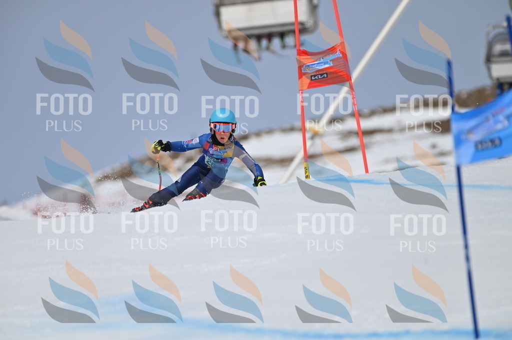 BGV_5292 | holidayphoto