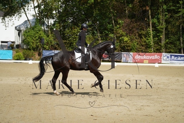 VAN00587 | Marie Giesen Fotografie - Realisiert mit Pictrs.com