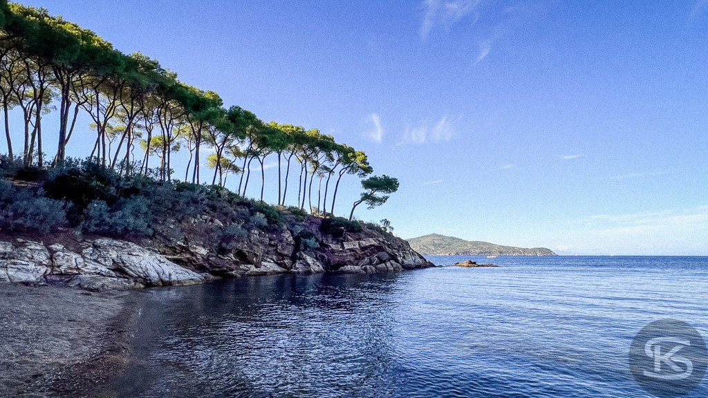 Mediterrane Silhouette: Blick von der Spiaggia di Istia, Elba – Wandbild | Blick vom Ufer der Spiaggia di Istia auf Elba; eine markante Reihe hoher Pinienbäume wächst auf einer felsigen Klippe direkt am blauen Mittelmeer unter klarem Himmel. - Realisiert mit Pictrs.com