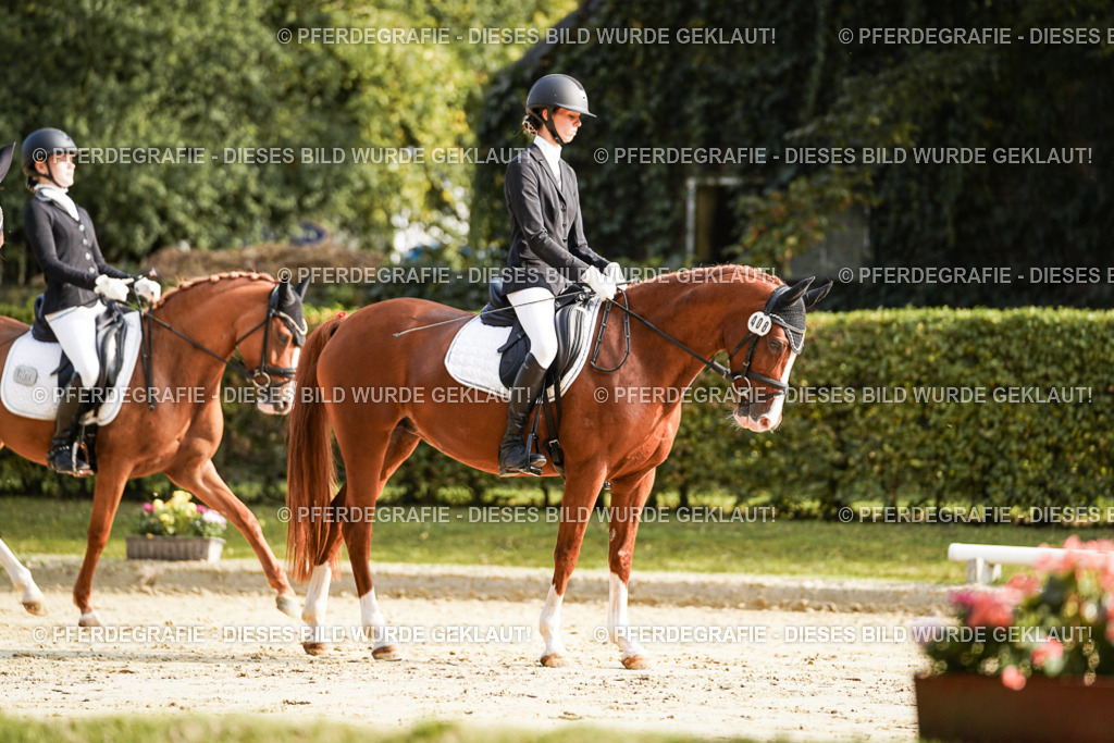 DSC05854 | Pferdegrafie