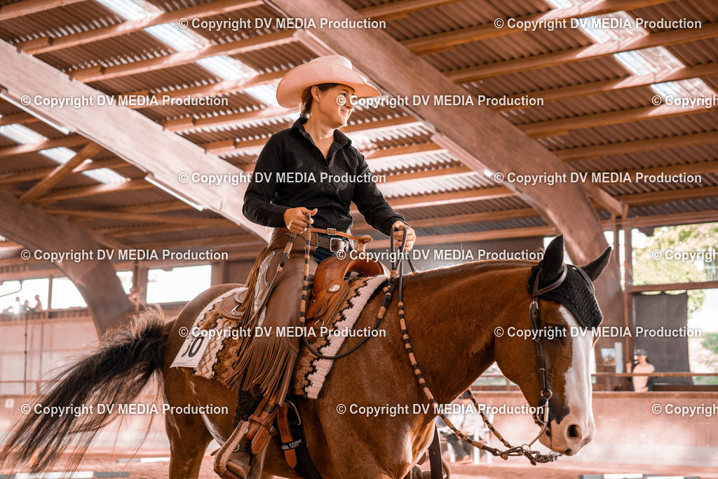 NE300142 | dv-media-shop - Realisiert mit Pictrs.com