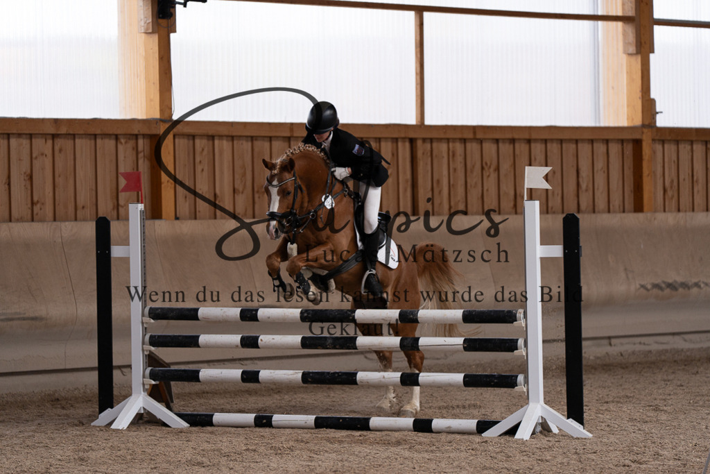 A7507877 | Pferdefotograf