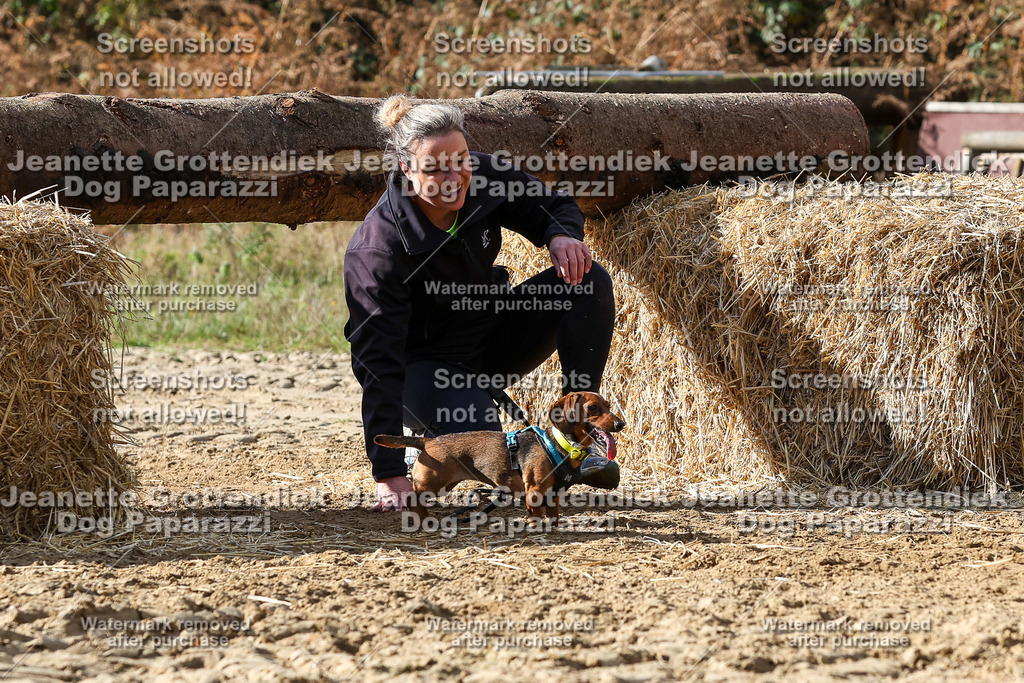 Dog Paparazzi - Strongdog 10-25-4970 | Dog Paparazzi Jeanette Grottendiek Fotografie & Videografie - Realisiert mit Pictrs.com