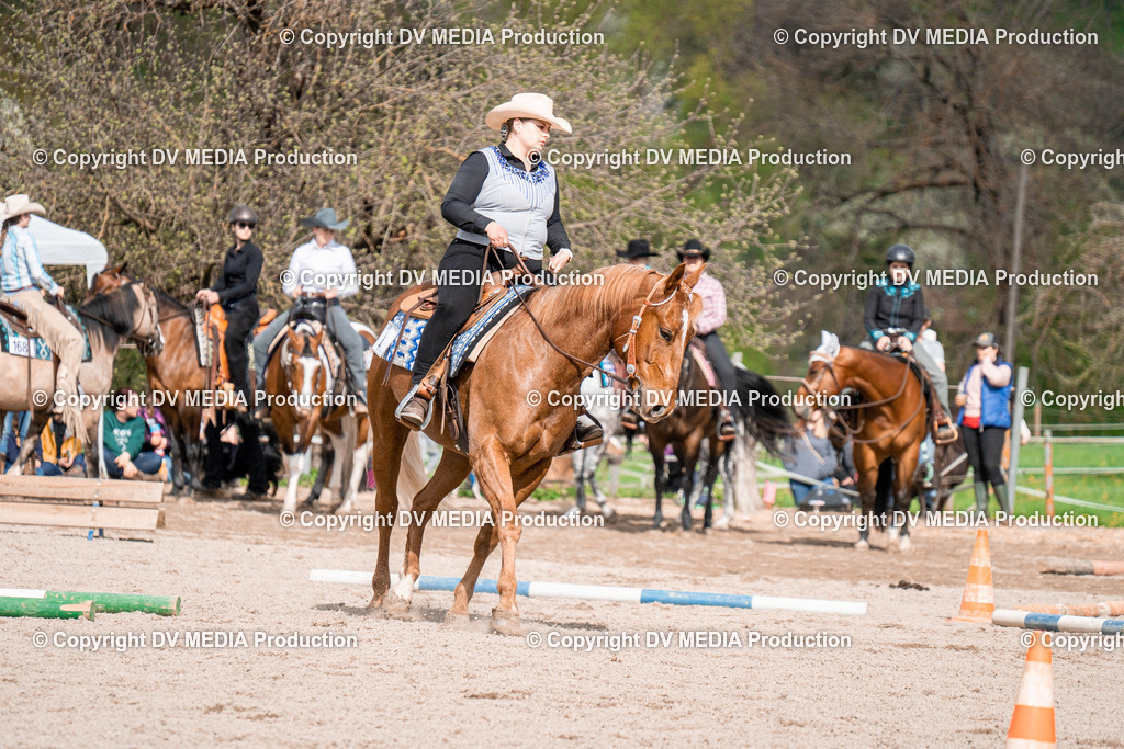 BAL02654 | dv-media-shop - Realisiert mit Pictrs.com