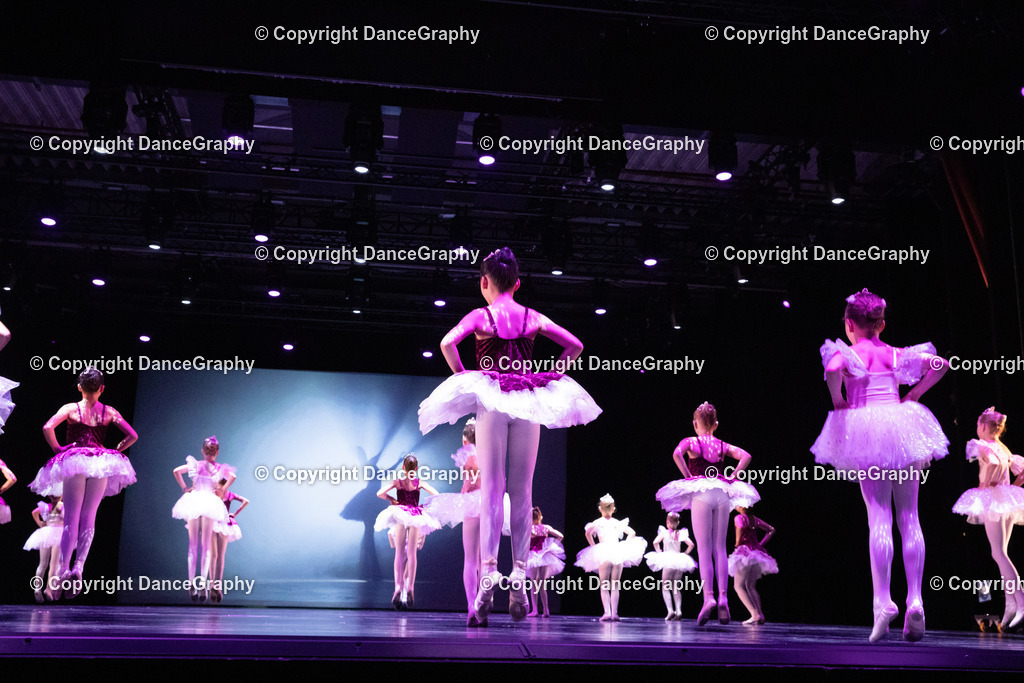 GPHY6463 | DanceGraphy - Realisiert mit Pictrs.com