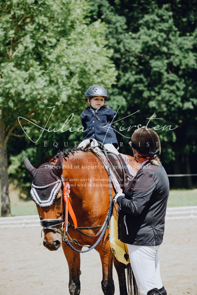 DSC_2681 | Pferde- und Turnierfotografie in Westsachsen. Pferdeportraits, Auftragszeichnungen und intuitive Kunst.
