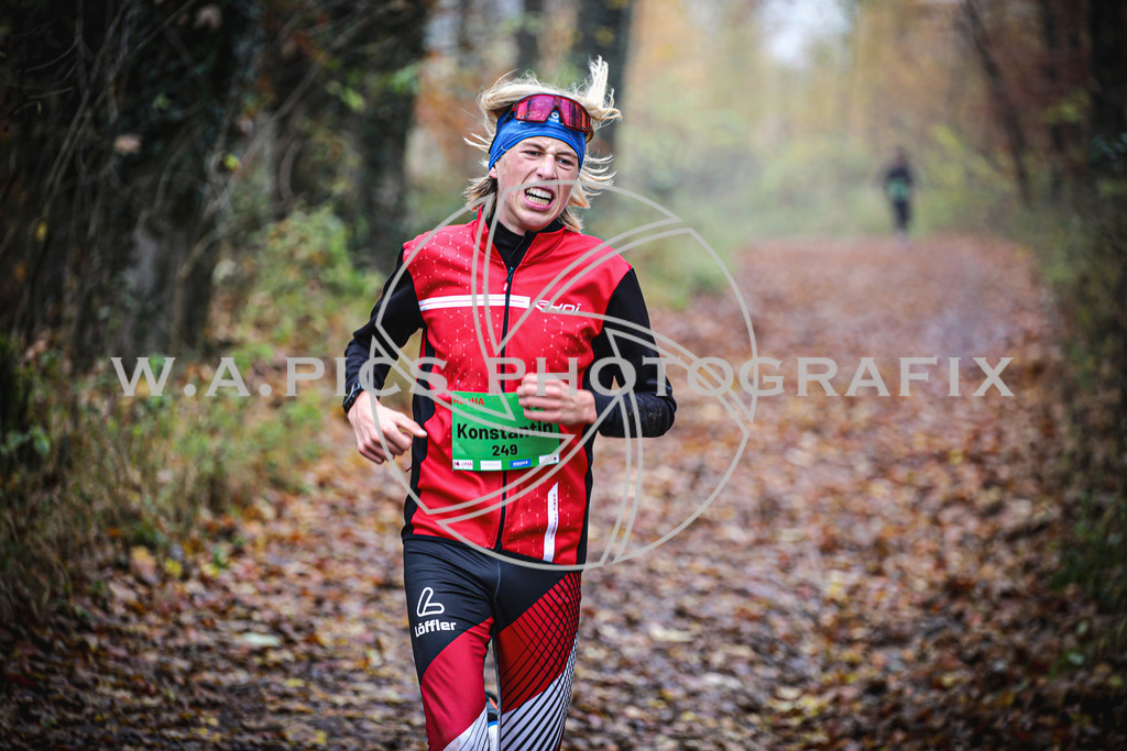 ..... | LEONDING,AUSTRIA,8.November 25, Kürnberglauf 2025  , Image shows: Photo: WAPICS / Andreas Willdoner