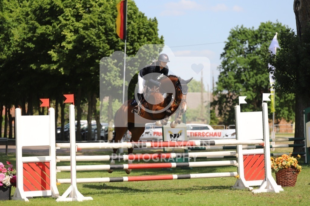 IMG_6490 | Pauline Ullmann Photography - Realisiert mit Pictrs.com