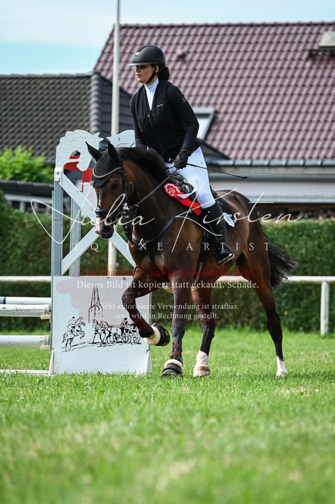 DSC_8693 | Pferde- und Turnierfotografie in Westsachsen. Pferdeportraits, Auftragszeichnungen und intuitive Kunst.