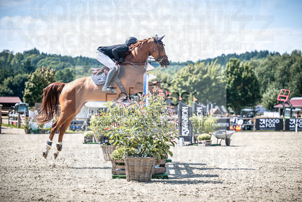 DOS_4352 | Entdecke hochwertige Reitturnierfotos von Foto Oger. Professionell, emotional und authentisch – jetzt Lieblingsmomente im Shop bestellen.Deutschlandweite Turnierfotografie. - Realisiert mit Pictrs.com