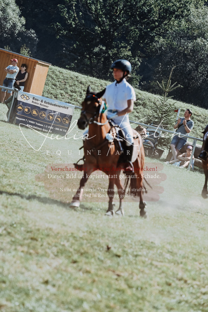 DSC_6236 | Pferde- und Turnierfotografie in Westsachsen. Pferdeportraits, Auftragszeichnungen und intuitive Kunst.