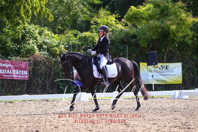 DKP42989 | Turnierfotos kaufen im Webshop von Daniel Kuhl Photography – entdecke professionelle Reitsportfotos aus Turnieren & Events. Hochwertige Turnierbilder online bestellen & sichern. Jetzt Fotos von Reitsportturnieren kaufen!