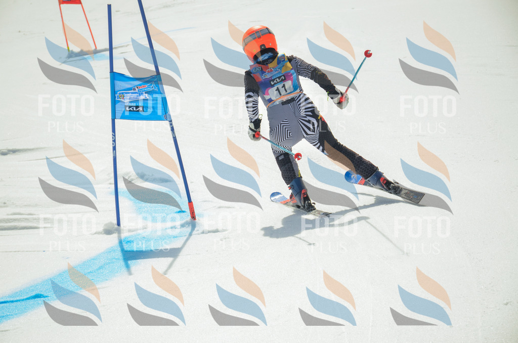 _ELE4581 | holidayphoto