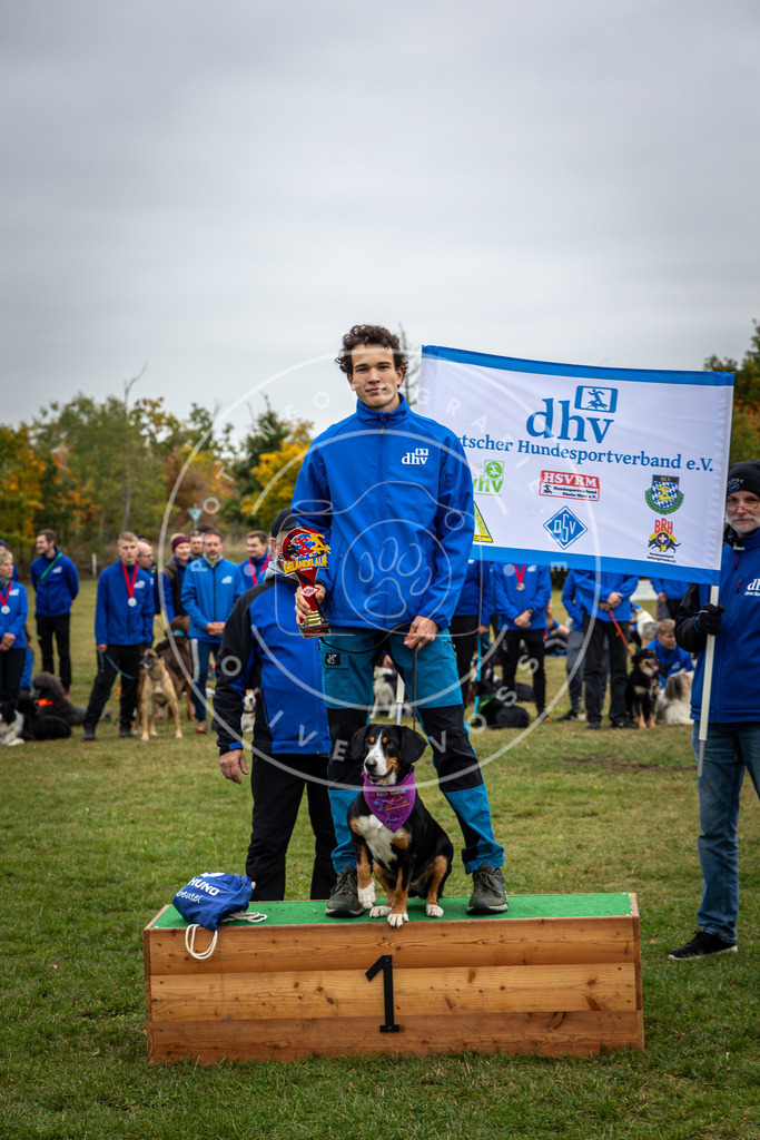 Pfotenfotografie_0L8A0458 | Hundefotografie, Tierfotograf, Pfotenfotografie, Fotoshooting Hund, Hunde Portrait, Hundesport, Hundeportraits, Heideshooting, Hunde, Sportfotograf, Hundefotograf, Turnierhundsport, THS,  - Realisiert mit Pictrs.com