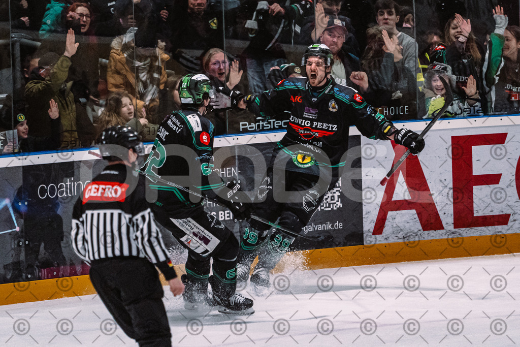 Alligators_vs_Selb_27_02_2026-29 | Höchstadt Alligators Fotogalerie: Eishockey-Action aus Franken. Professionelle Spielfotos, Portraits & Stadionbilder zum Download. Jetzt entdecken! - Realisiert mit Pictrs.com