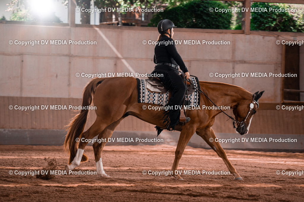 NE100340 | dv-media-shop - Realisiert mit Pictrs.com