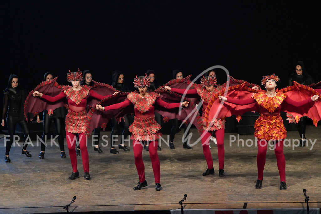 steppdm22_3210 | FRANK WIESEHAHN MEDIA - Realisiert mit Pictrs.com