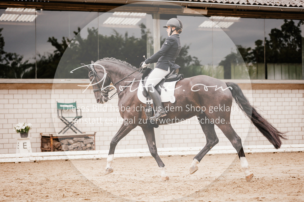 3I6A7719 | Stimmungsvolle Portraits und Reitsportfotografie im Ruhrgebiet und im Münsterland.

Pferdefotografie, Hundefotografie, Tierfotografie, Reportagen, Portraits von Tier und Mensch, Turnierfotografie in Bochum, Recklinghausen, Marl, Haltern am See, Dülmen.. - Realisiert mit Pictrs.com