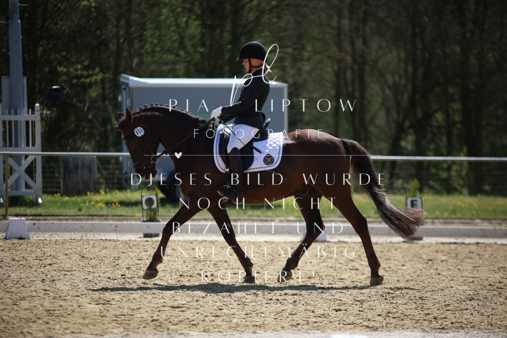 IMGT1685 | pl-fotografie