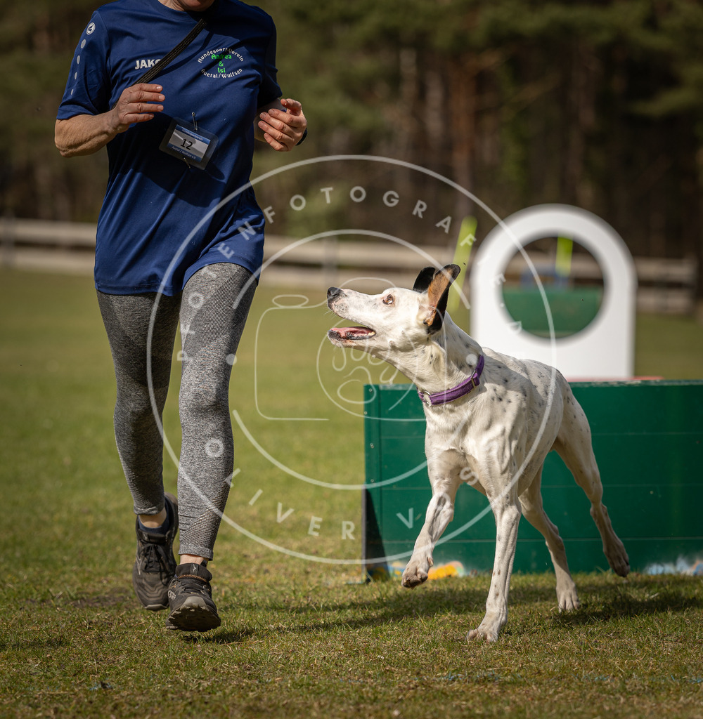 Pfotenfotografie_DV3A0692 | Hundefotografie, Tierfotograf, Pfotenfotografie, Fotoshooting Hund, Hunde Portrait, Hundesport, Hundeportraits, Heideshooting, Hunde, Sportfotograf, Hundefotograf, Turnierhundsport, THS,  - Realisiert mit Pictrs.com