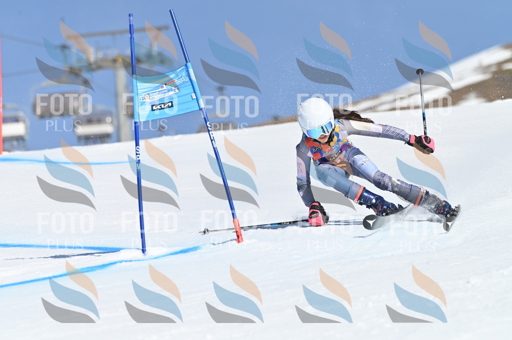 BGV_8156 | holidayphoto