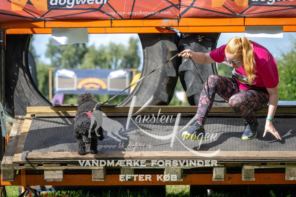1540_ZZ93704 | kk-dogfotos