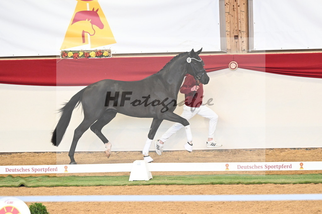 Kat.-Nr. 57 v. Feliciano_Vavrikova_3260591 | hf-fotografie - Realizzato con Pictrs.com