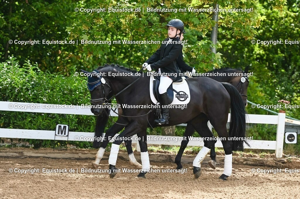 20230716_10-1_Reiter-WB Schritt - Trab - Galopp_0141 | equistock