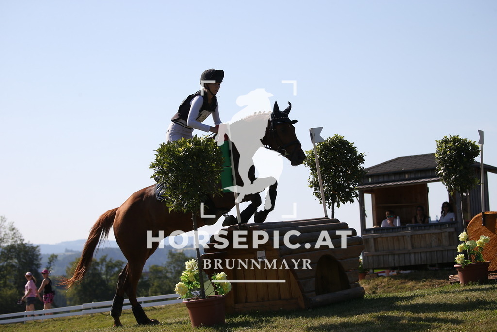 DL2Q2133 | Willkommen bei Brunnmayr - Design & Fotografie – Ihrem Spezialisten für Reitturniere und Pferdeveranstaltungen in Oberösterreich, Salzburg und Bayern! Seit über 17 Jahren sind wir leidenschaftlich dabei.