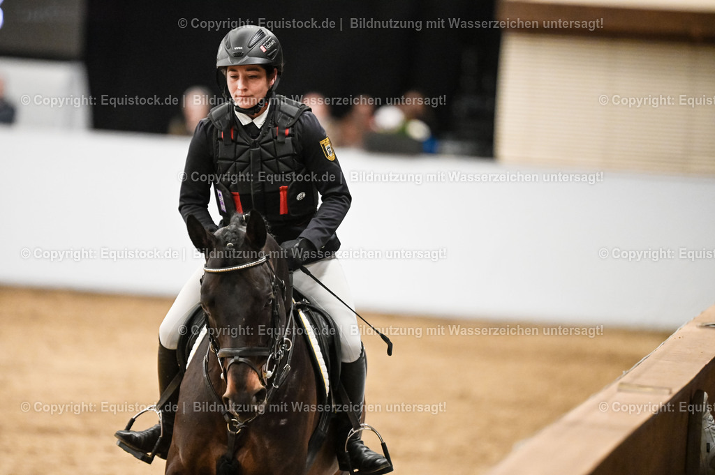 20260307_Hengstvorstellung-Marbach_0442 | equistock