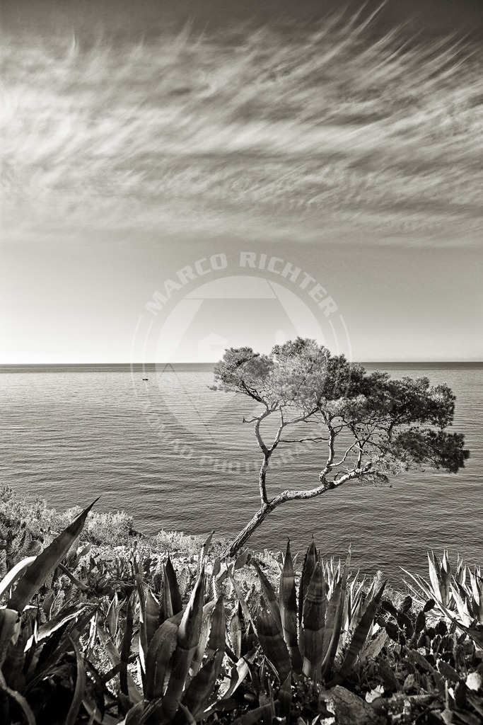 Cala Marmacen | ***Beim Herunterladen der Bilddateien gelten die Lizenzbestimmungen wie auf unserer Produktseite beschrieben: *** Nennung der Bildquelle: Foto Marco Richter.***1Einzellizenz. Ausschließlich digitale Nutzung.*** Sollten Sie ein Foto für den Druck oder Mehrfachlizenzen benötigen, kontaktieren Sie uns bitte für eine Erweiterte Lizenz per Mail oder Kontaktformular.***