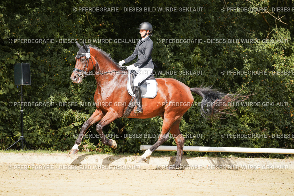 DSC02399 | Pferdegrafie