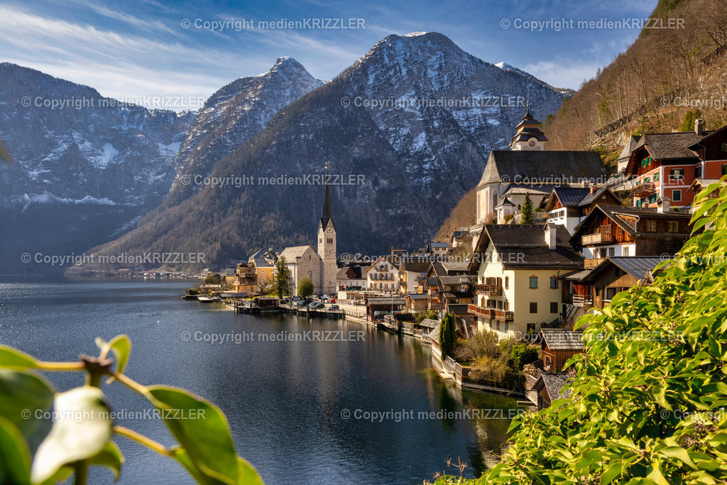 _J3A8563 | medienkrizzler - Realisiert mit Pictrs.com