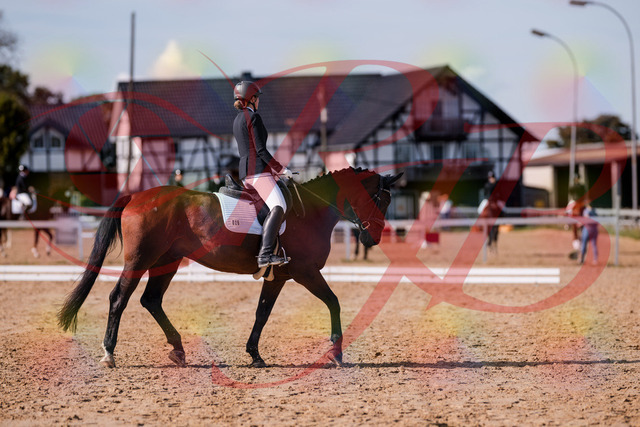 2026_10_03_Siefer-Hof_130221_Z81_56307771 | Professionelle Reitsport-, Turnier- und Eventfotografie von Robert Broda. Galerien mit ausgewählten und bearbeiteten Bildern direkt online ansehen und bestellen.
