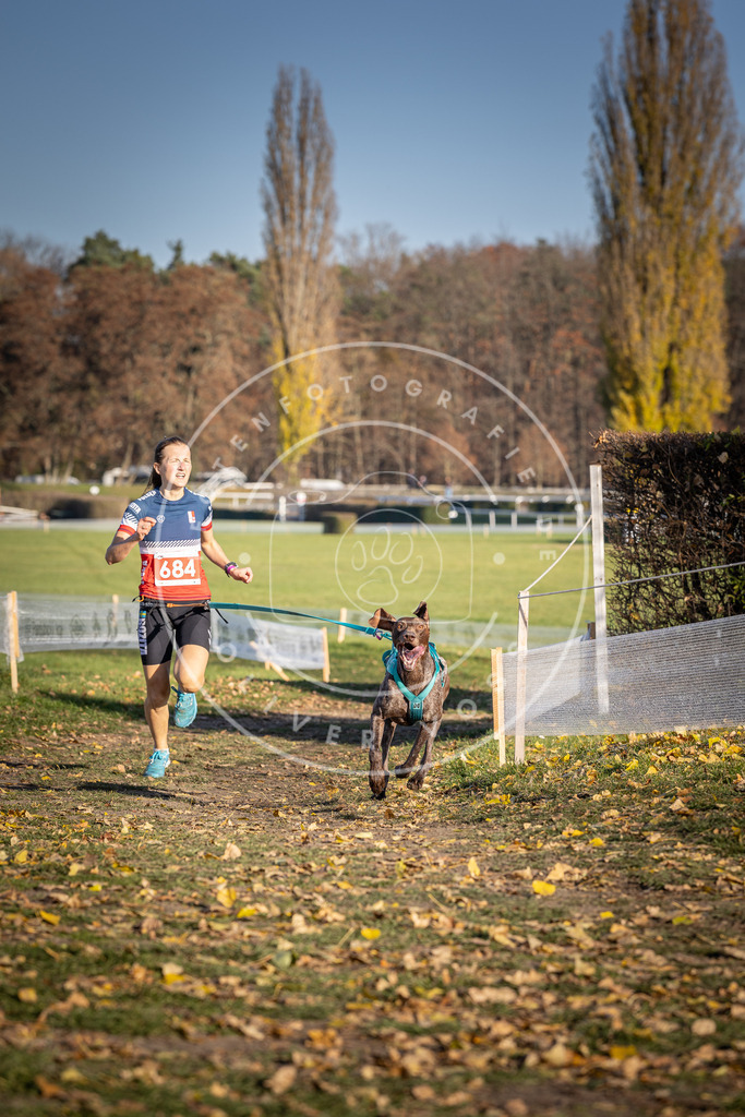 CaniXpix_DV3A1152 | Hundefotografie, Tierfotograf, Pfotenfotografie, Fotoshooting Hund, Hunde Portrait, Hundesport, Hundeportraits, Heideshooting, Hunde, Sportfotograf, Hundefotograf, Turnierhundsport, THS,  - Realisiert mit Pictrs.com