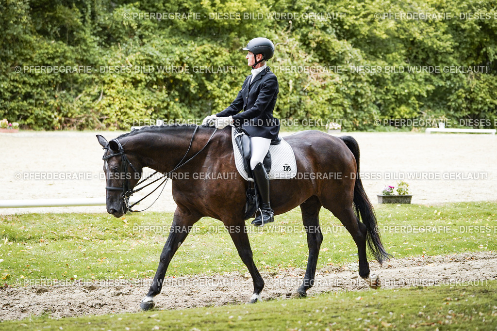 DSC05967 | Pferdegrafie