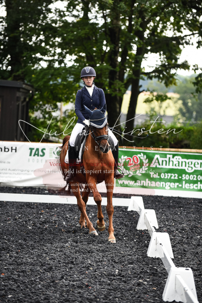 DSC_2911 | Pferde- und Turnierfotografie in Westsachsen. Pferdeportraits, Auftragszeichnungen und intuitive Kunst.