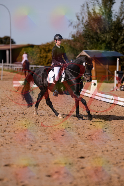 2026_10_03_Siefer-Hof_115801_Z81_99652107 | Professionelle Reitsport-, Turnier- und Eventfotografie von Robert Broda. Galerien mit ausgewählten und bearbeiteten Bildern direkt online ansehen und bestellen.