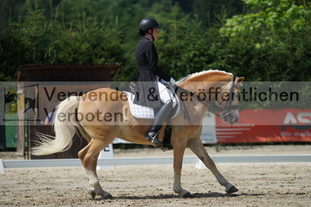 DSC05276 | equestrian-live-com