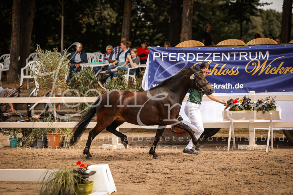 03.So00109 | Leoni Ertmer Photography - Realisiert mit Pictrs.com